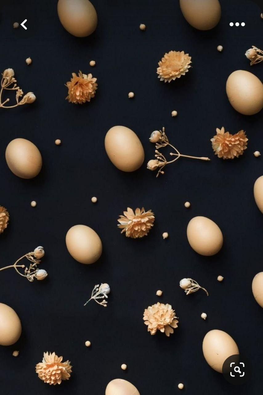 Primavera - Easter