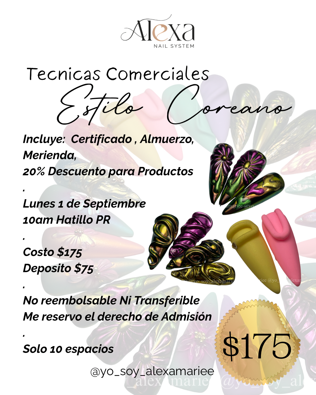 Clase Presencial: Técnicas Coreanas al Estilo Alexa