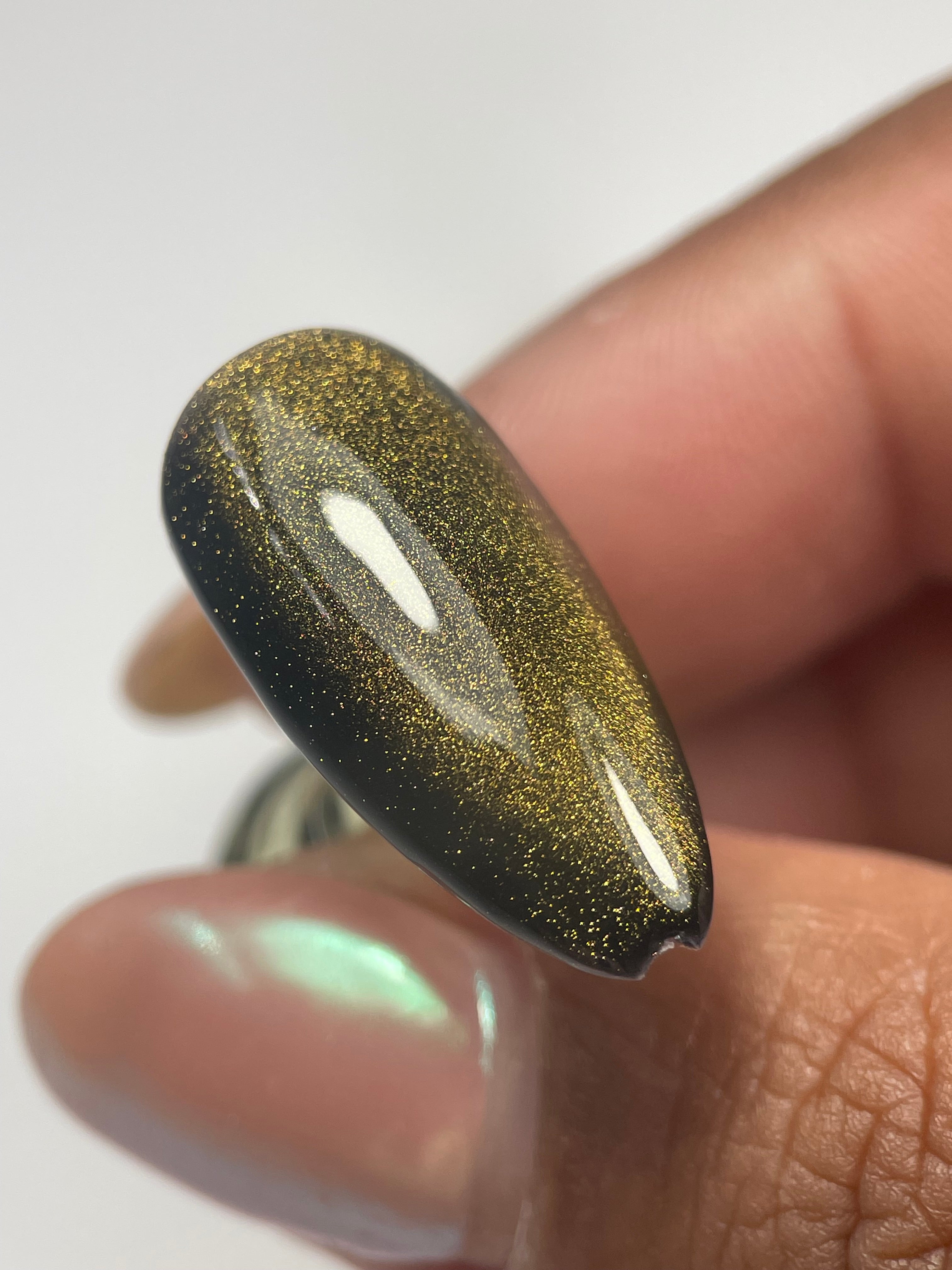 Color Gel #5 Danny Coll