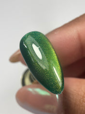 Color Gel #9 Danny Coll