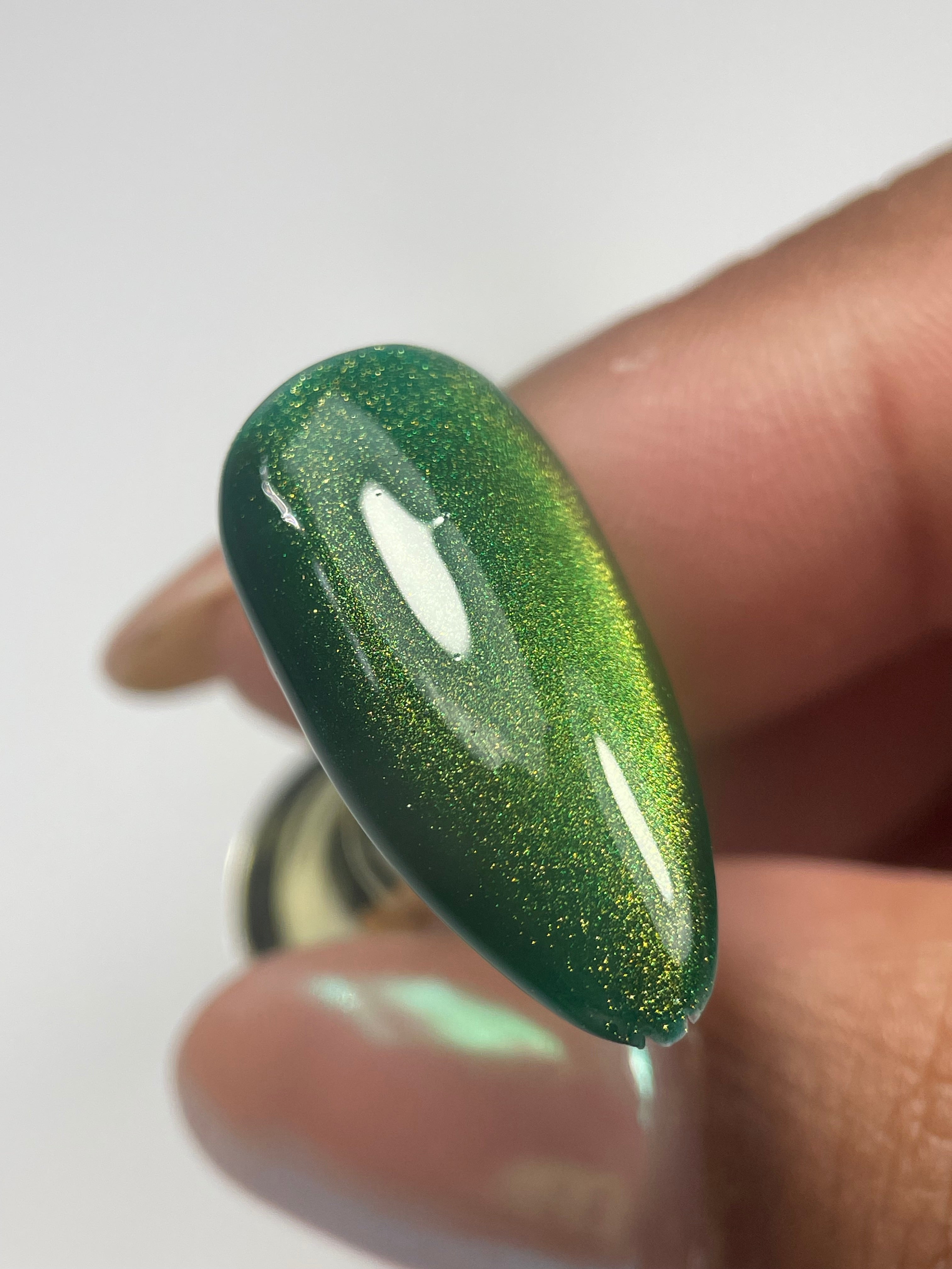 Color Gel #9 Danny Coll