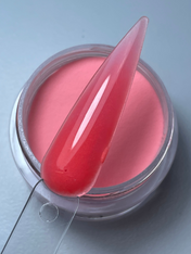 Pink Hibiscuss