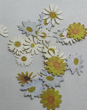 Decoracion para encapsular