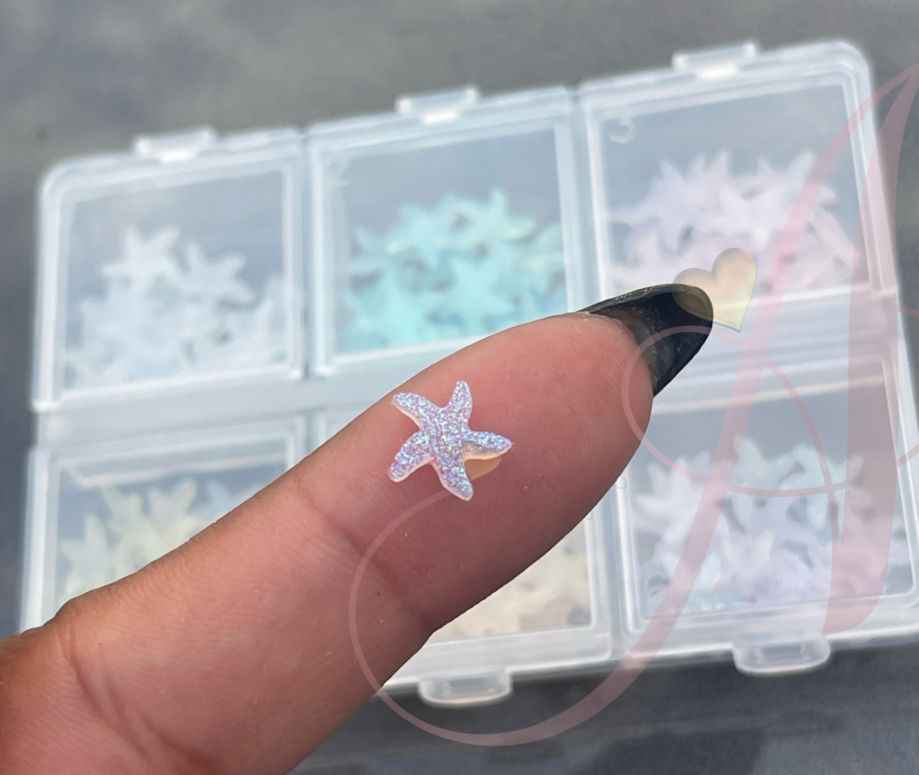 Estrellas de Mar De colores