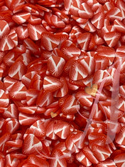 Fimos de Verano