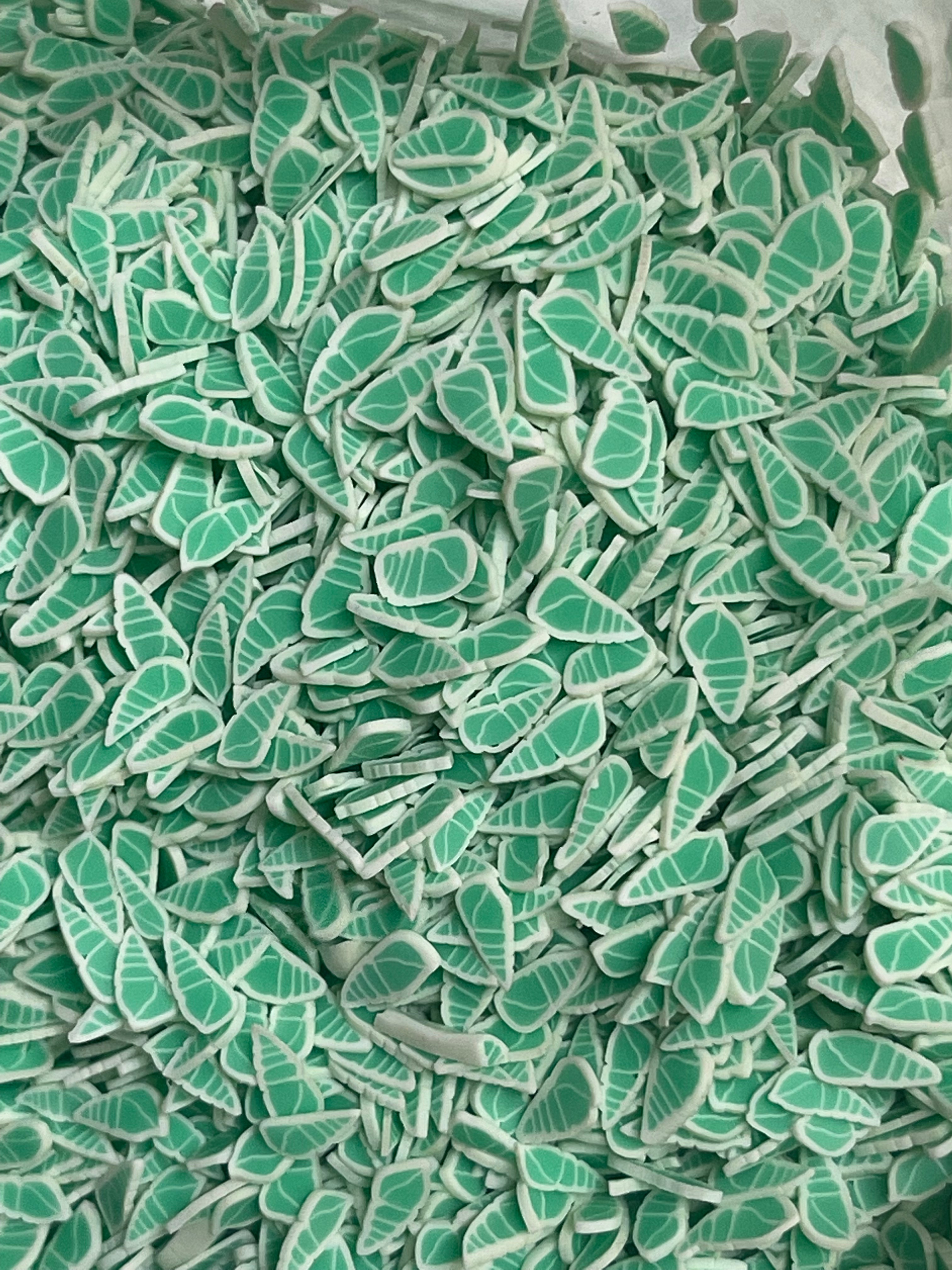 Fimos de Verano